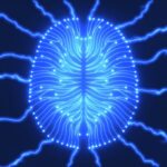 Antidepressants Reshape the Brain—But That’s Only Half the Healing